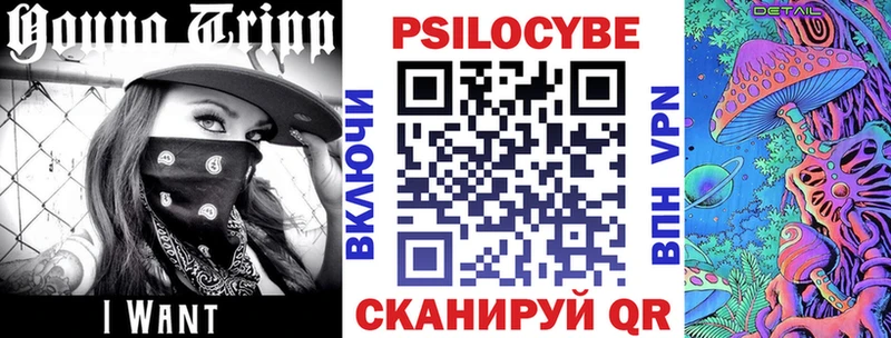 Галлюциногенные грибы мицелий  Серафимович 